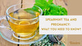 Spearmint tea and pregnancy: What you need to know?