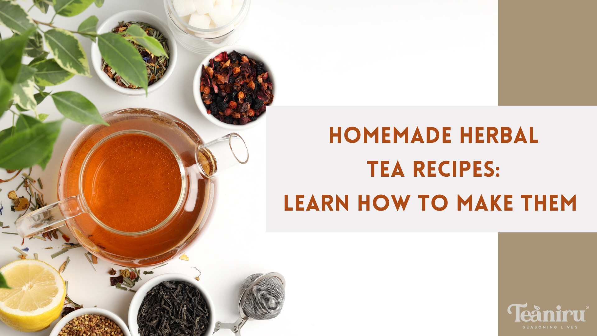 Top 5 Calming Herbal Tea Recipes for Stress Relief