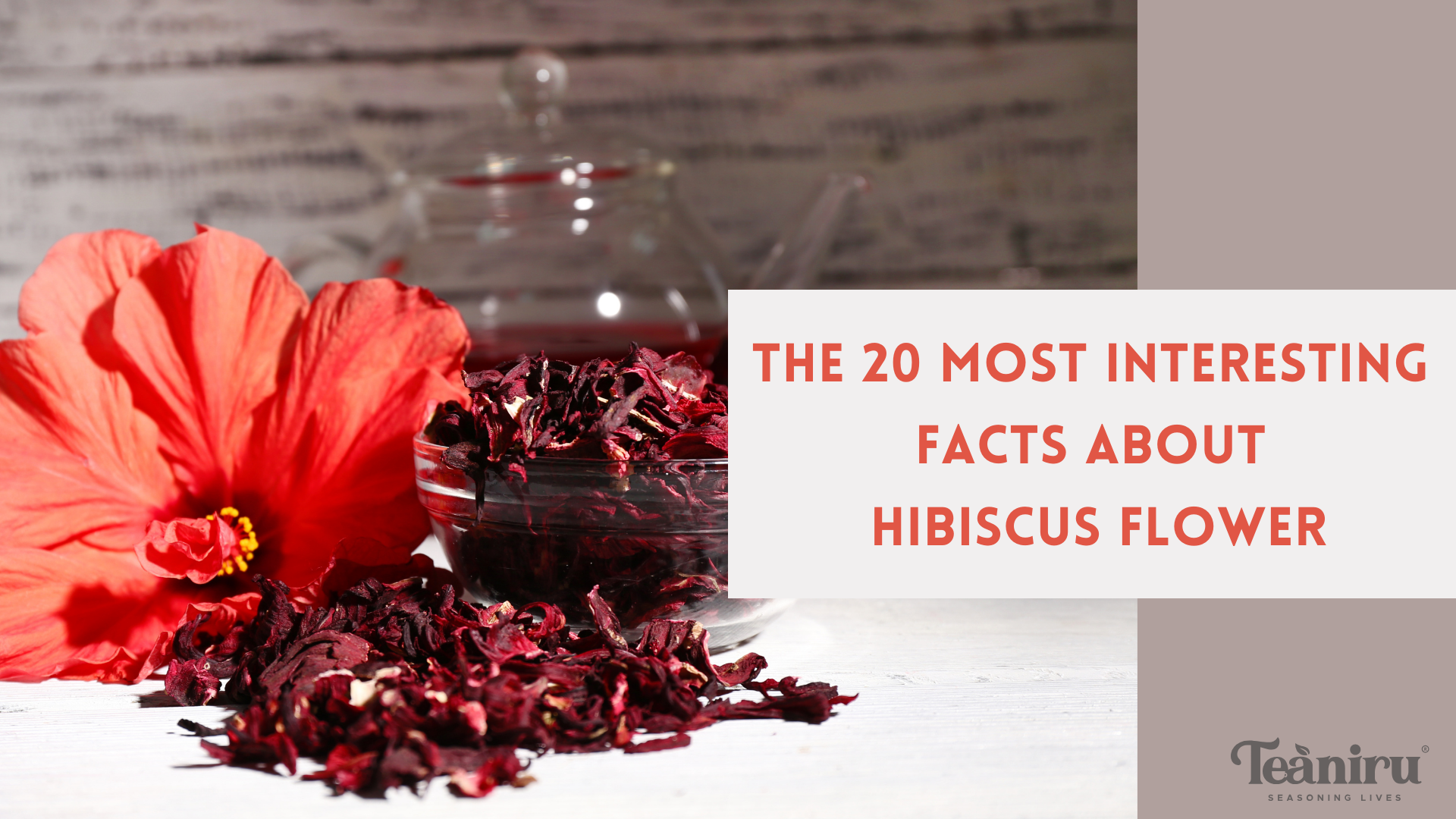 The 20 most interesting facts about hibiscus flower