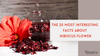  hibiscus flower facts
