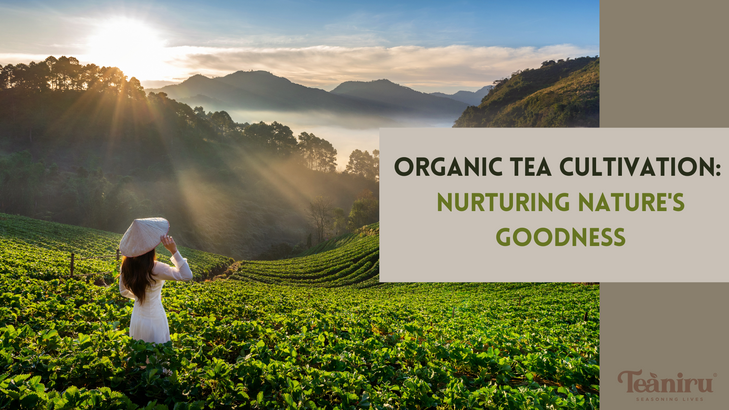 organic tea 