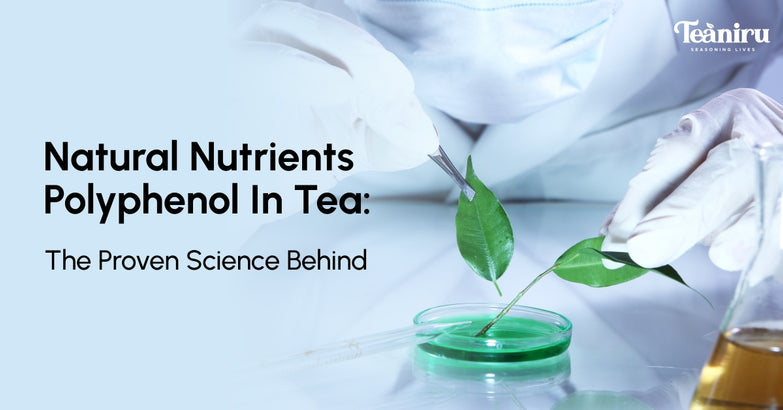 Natural nutrient Polyphenol in tea: the proven science behind