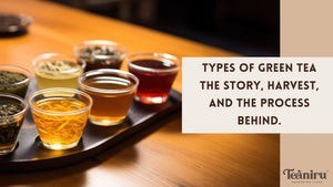 Types  of Green Tea -The Story, Harvest, and the Process Behind.